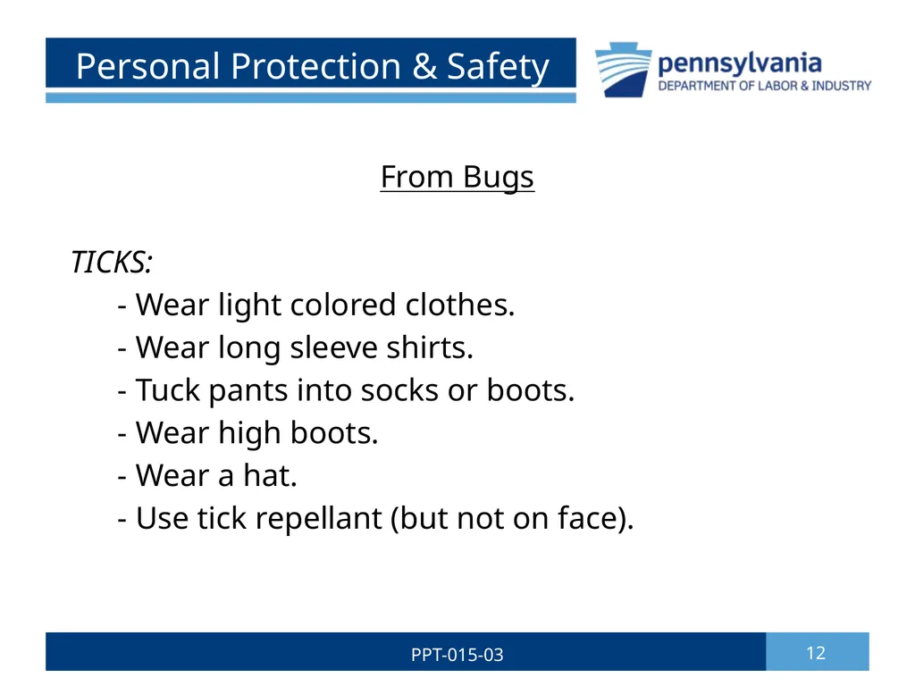 GROUNDSKEEPING SAFETY 1 PPT-015-03 Bureau of - slide 12 of 35