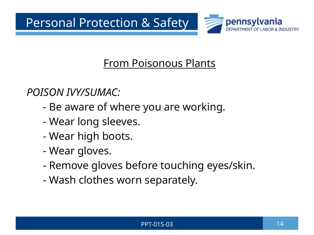 GROUNDSKEEPING SAFETY 1 PPT-015-03 Bureau of - slide 14 of 35