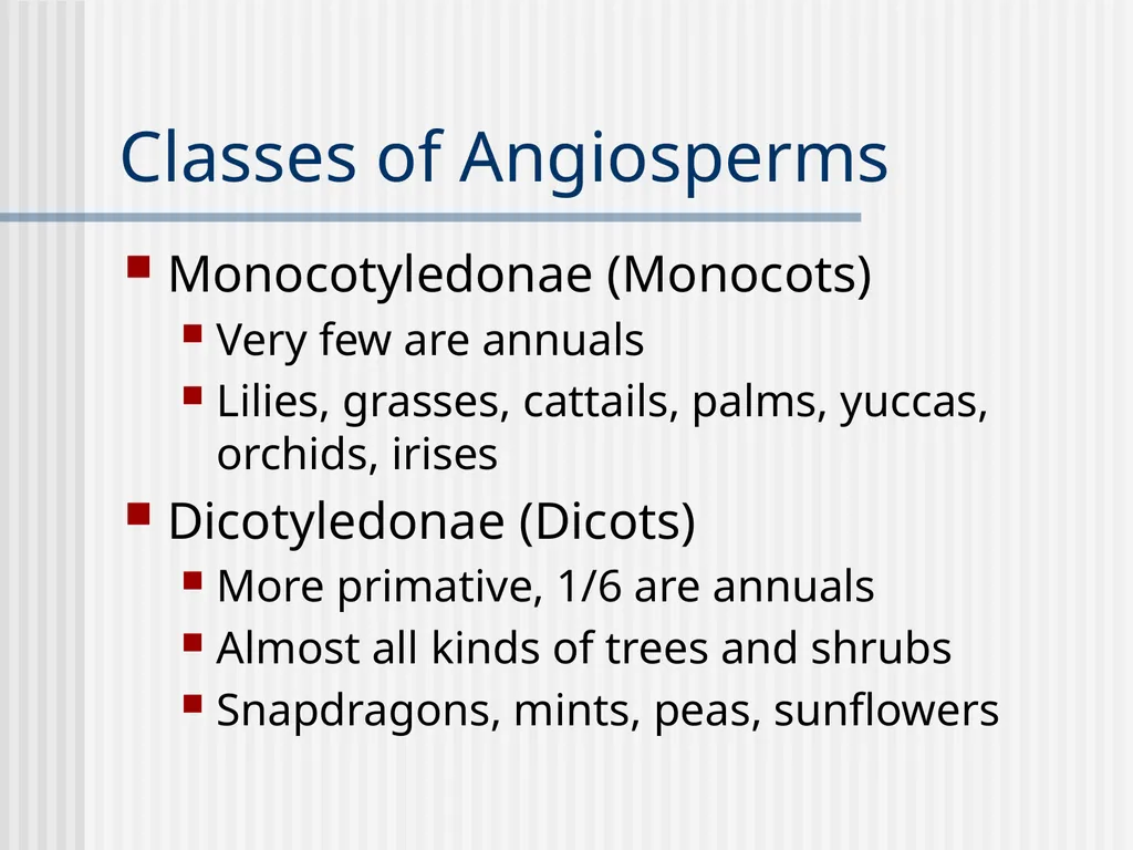 Plants Evolutionary Past Cyanobacteria Blue- green - slide 14 of 20