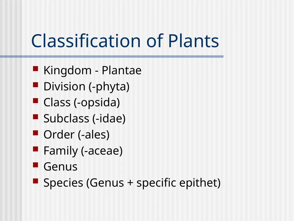 Plants Evolutionary Past Cyanobacteria Blue- green - slide 5 of 20