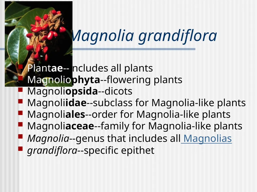 Plants Evolutionary Past Cyanobacteria Blue- green - slide 6 of 20