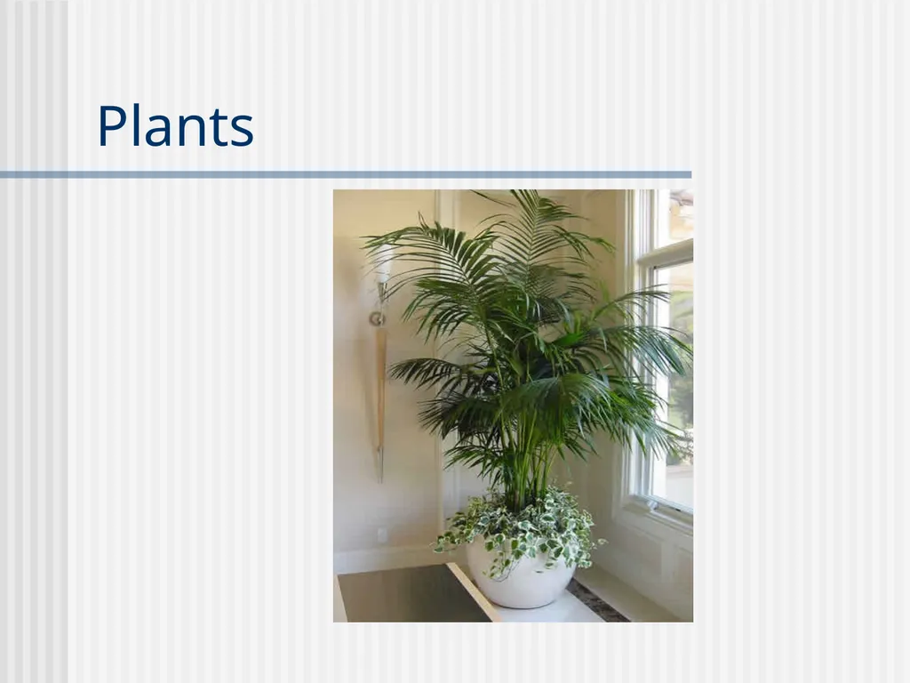 Plants Evolutionary Past Cyanobacteria Blue- green