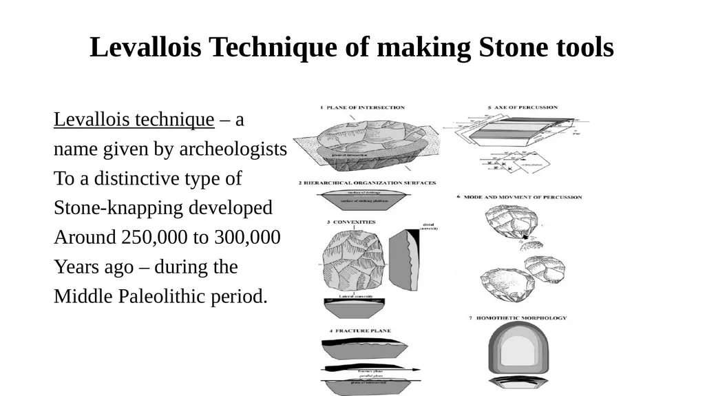 Paleolithic Culture 1. Tool – making Culture - slide 9 of 12