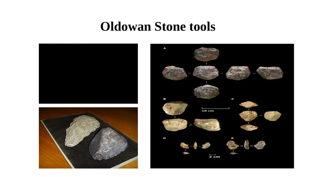 Paleolithic Culture 1. Tool – making Culture - slide 8 of 12