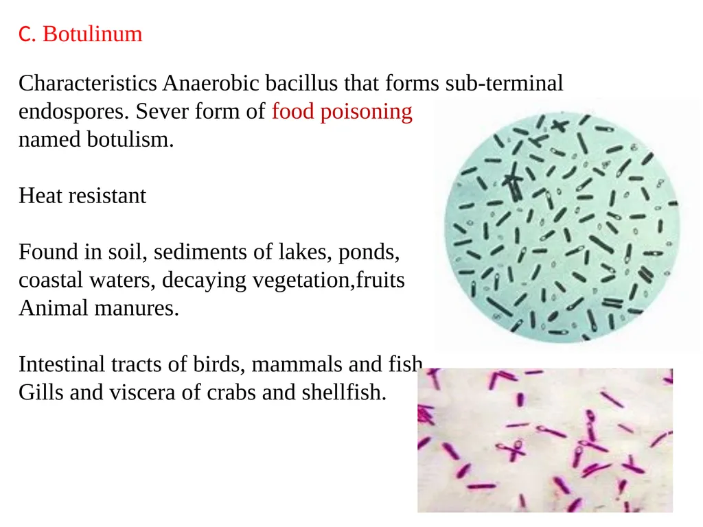 Date-23/12/2020 Part -1 2nd year professional - slide 17 of 23