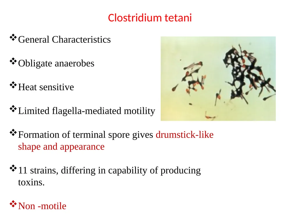 Date-23/12/2020 Part -1 2nd year professional - slide 6 of 23