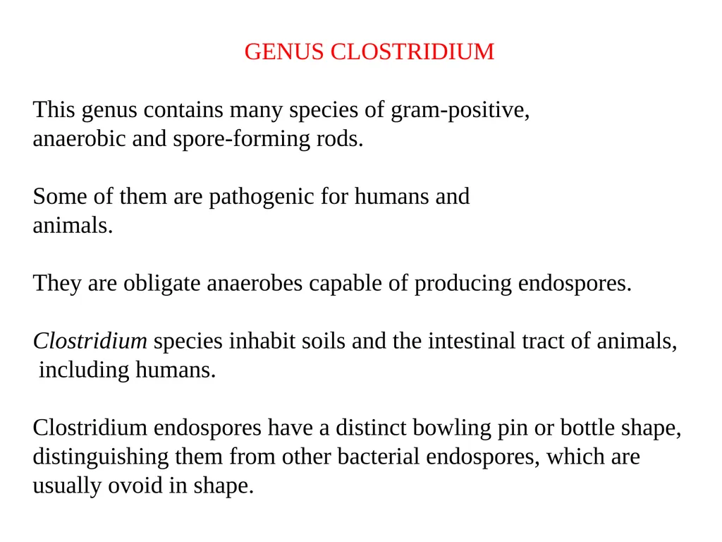 Date-23/12/2020 Part -1 2nd year professional - slide 5 of 23