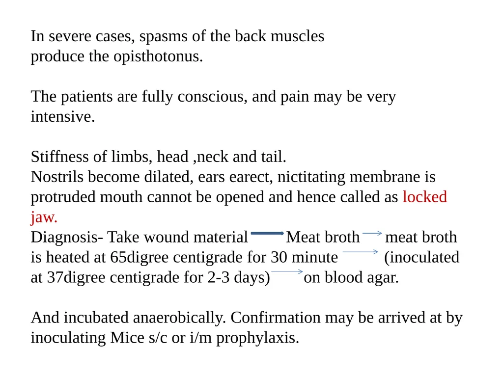Date-23/12/2020 Part -1 2nd year professional - slide 15 of 23