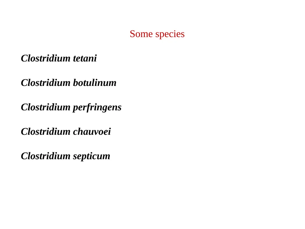 Date-23/12/2020 Part -1 2nd year professional - slide 4 of 23