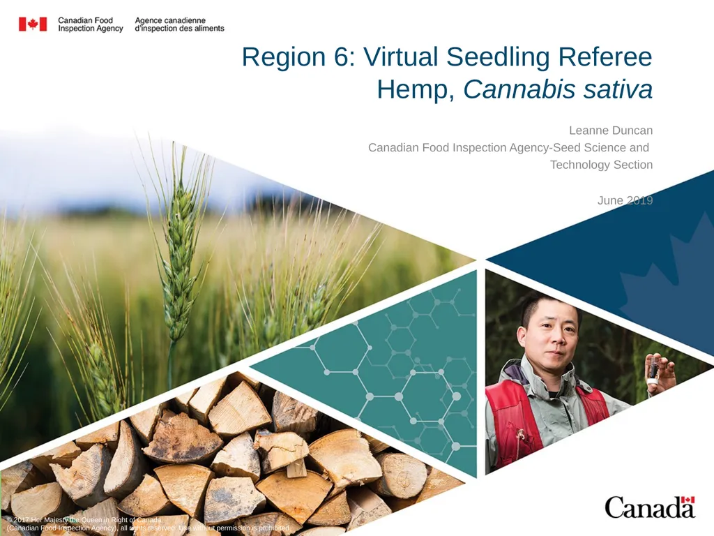 Region 6: Virtual Seedling Referee Hemp, Cannabis - slide 1 of 16