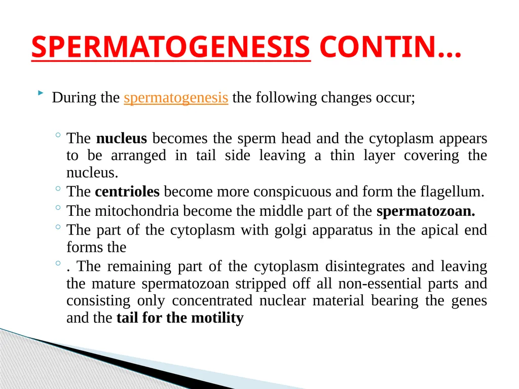 DEVELOPMENTAL ANATOMY VAN-608 Dr SANJAY KUMAR - slide 7 of 49