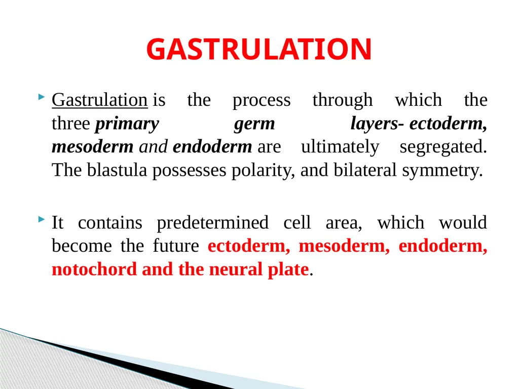 DEVELOPMENTAL ANATOMY VAN-608 Dr SANJAY KUMAR - slide 19 of 49
