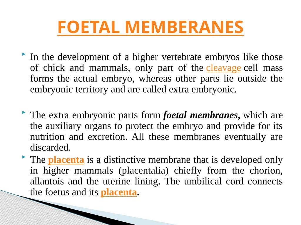 DEVELOPMENTAL ANATOMY VAN-608 Dr SANJAY KUMAR - slide 20 of 49