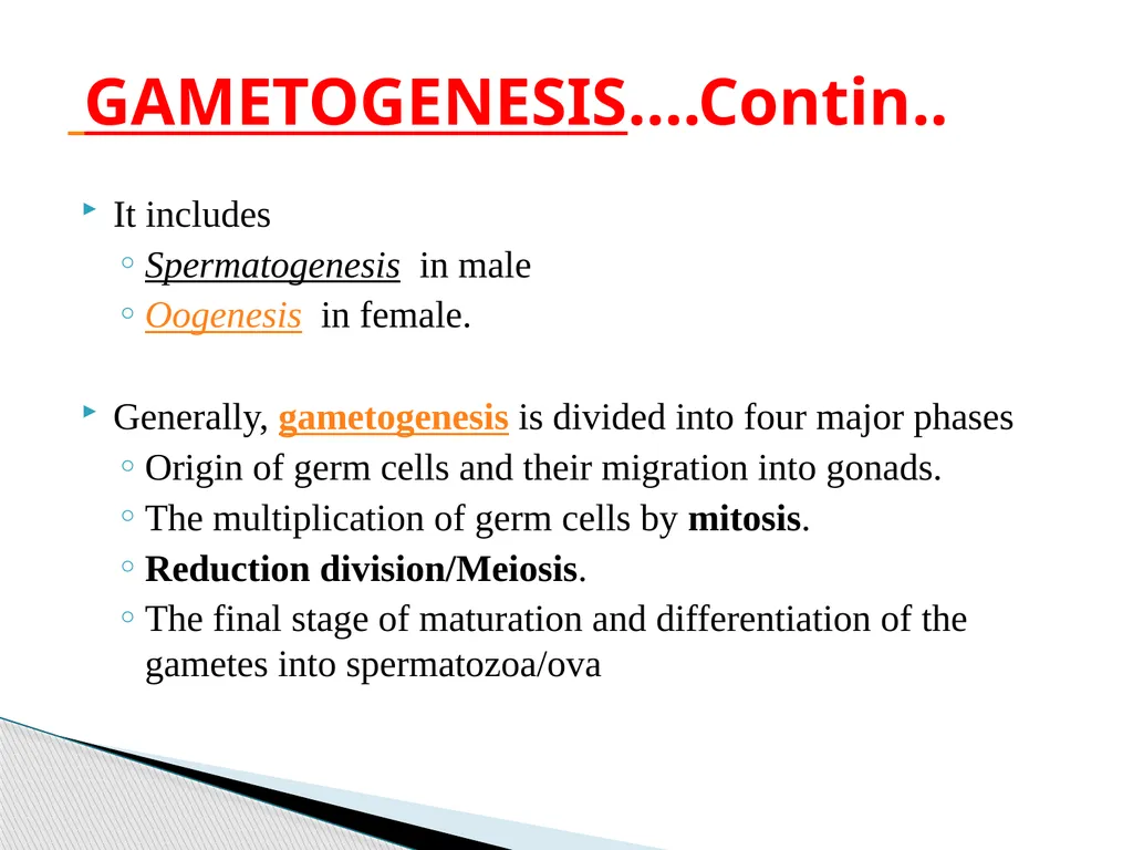 DEVELOPMENTAL ANATOMY VAN-608 Dr SANJAY KUMAR - slide 3 of 49