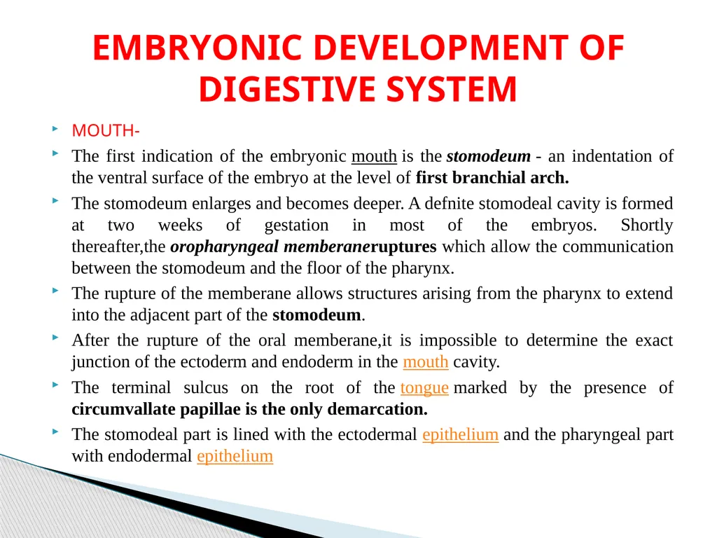DEVELOPMENTAL ANATOMY VAN-608 Dr SANJAY KUMAR - slide 26 of 49