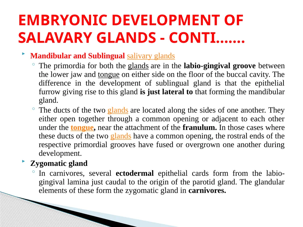 DEVELOPMENTAL ANATOMY VAN-608 Dr SANJAY KUMAR - slide 32 of 49