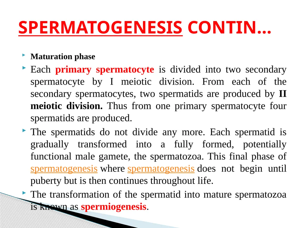 DEVELOPMENTAL ANATOMY VAN-608 Dr SANJAY KUMAR - slide 6 of 49