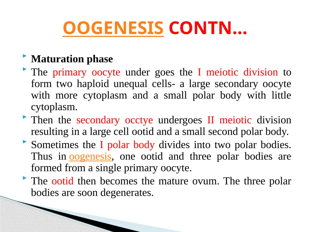 DEVELOPMENTAL ANATOMY VAN-608 Dr SANJAY KUMAR - slide 10 of 49