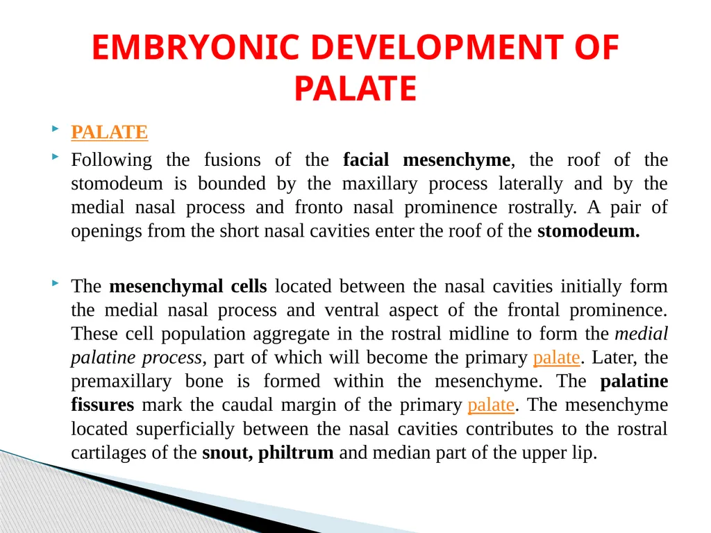 DEVELOPMENTAL ANATOMY VAN-608 Dr SANJAY KUMAR - slide 29 of 49