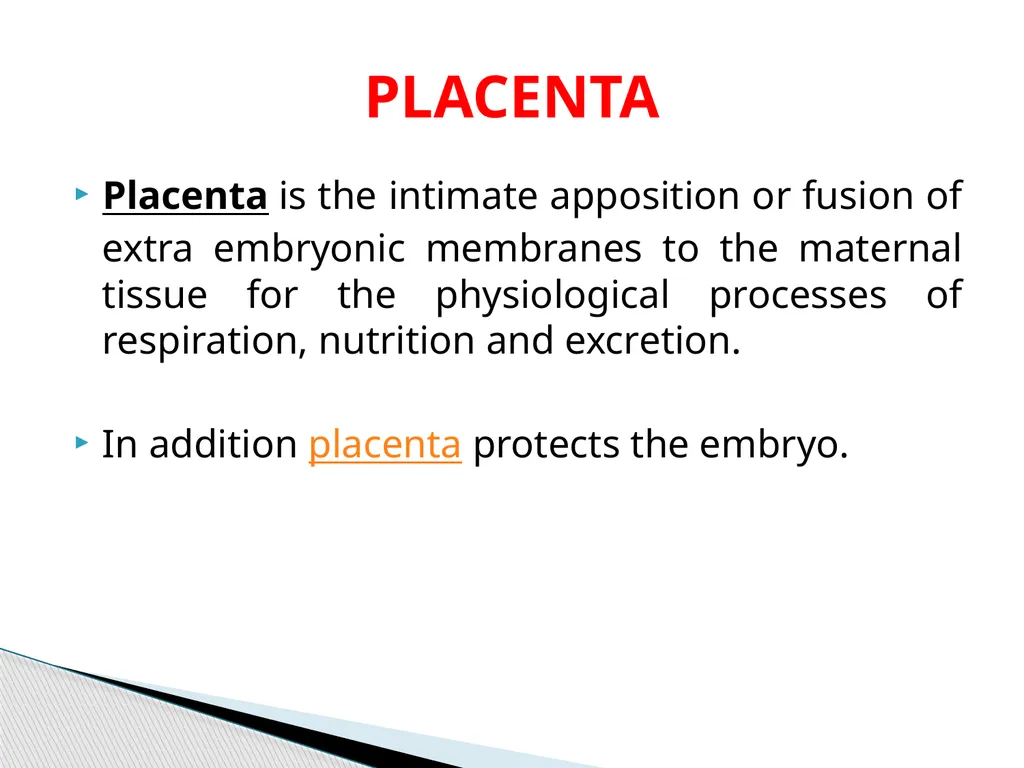 DEVELOPMENTAL ANATOMY VAN-608 Dr SANJAY KUMAR - slide 21 of 49