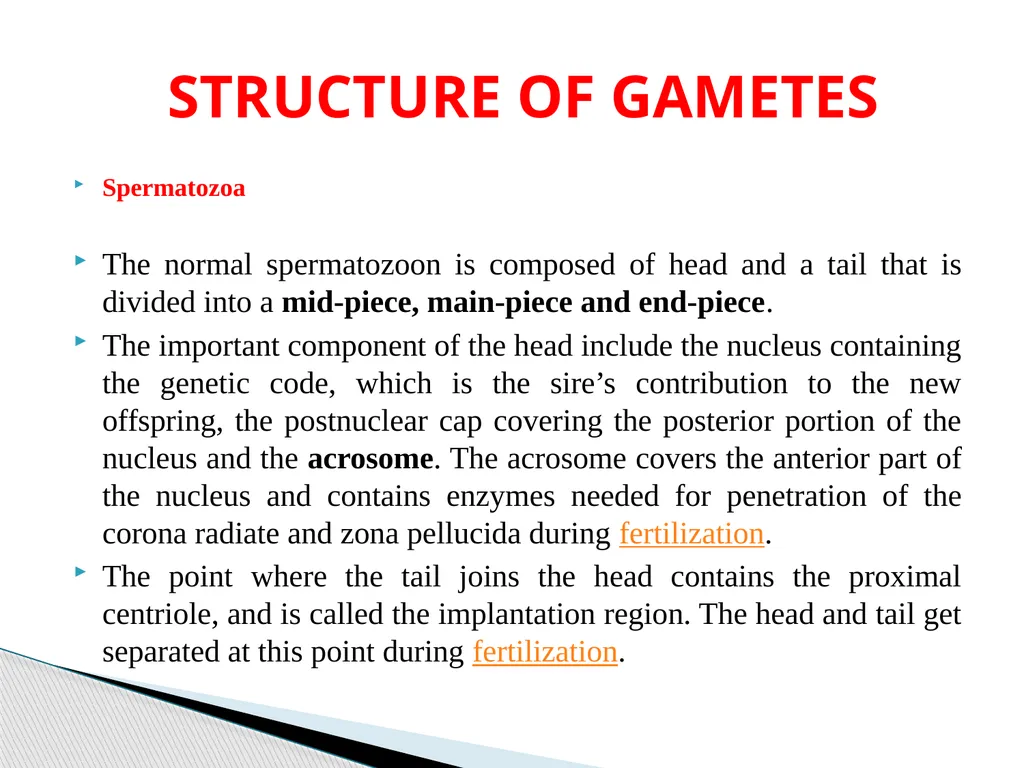 DEVELOPMENTAL ANATOMY VAN-608 Dr SANJAY KUMAR - slide 11 of 49