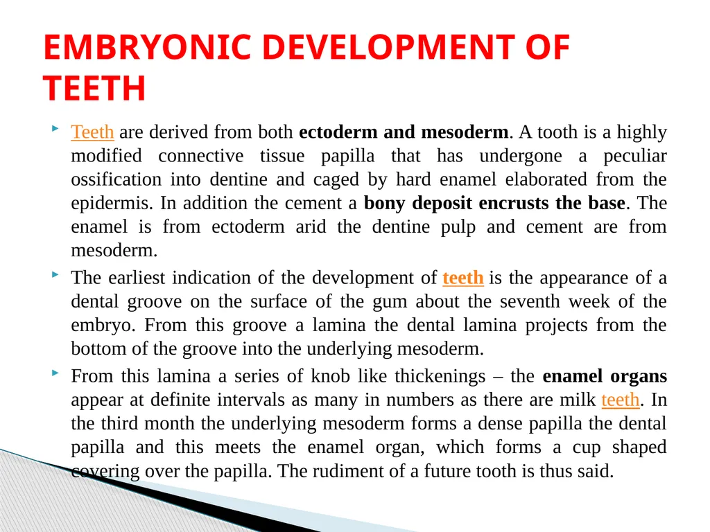 DEVELOPMENTAL ANATOMY VAN-608 Dr SANJAY KUMAR - slide 33 of 49