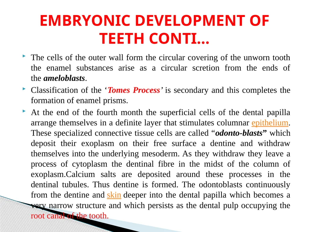 DEVELOPMENTAL ANATOMY VAN-608 Dr SANJAY KUMAR - slide 35 of 49