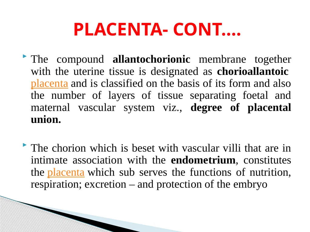 DEVELOPMENTAL ANATOMY VAN-608 Dr SANJAY KUMAR - slide 23 of 49
