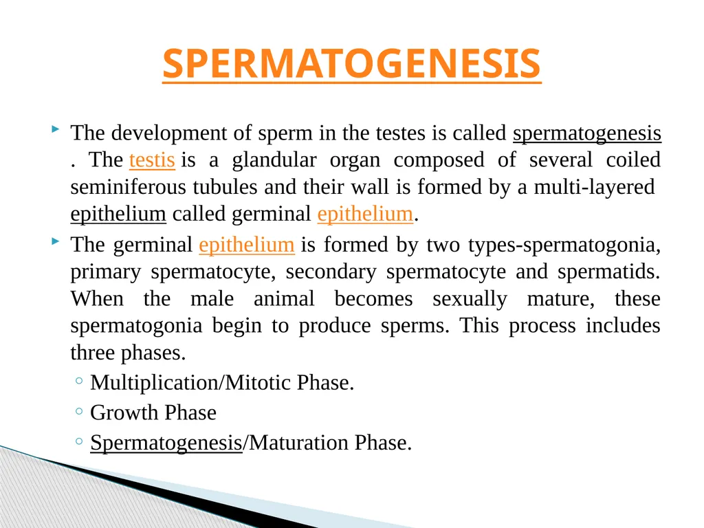 DEVELOPMENTAL ANATOMY VAN-608 Dr SANJAY KUMAR - slide 4 of 49