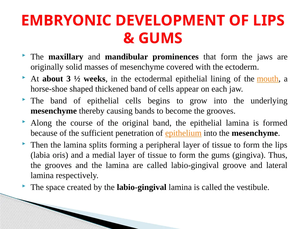 DEVELOPMENTAL ANATOMY VAN-608 Dr SANJAY KUMAR - slide 27 of 49