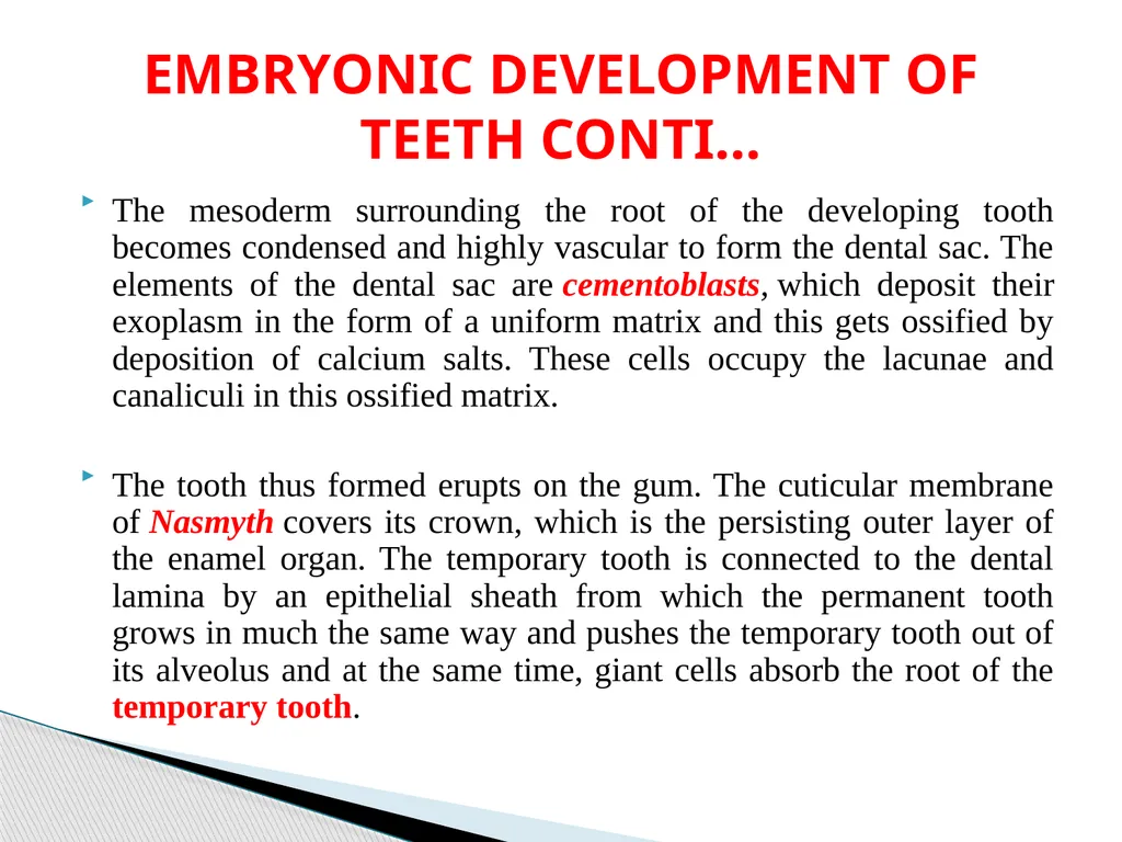 DEVELOPMENTAL ANATOMY VAN-608 Dr SANJAY KUMAR - slide 36 of 49