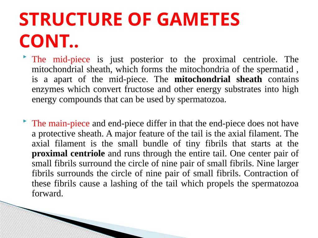 DEVELOPMENTAL ANATOMY VAN-608 Dr SANJAY KUMAR - slide 12 of 49