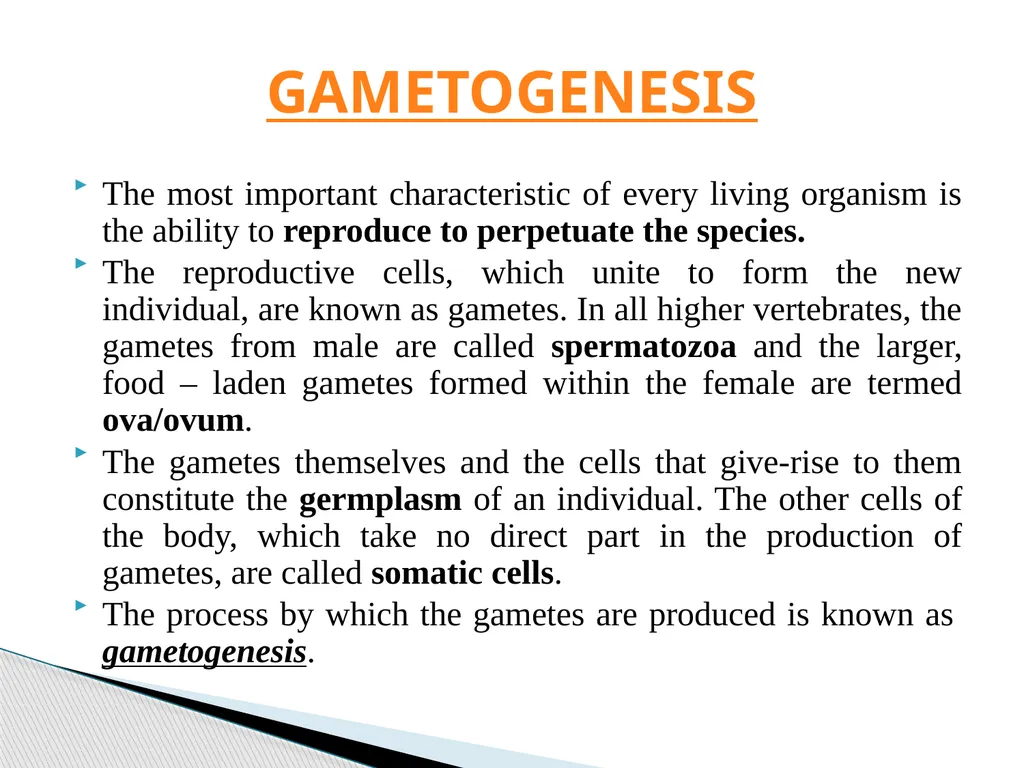 DEVELOPMENTAL ANATOMY VAN-608 Dr SANJAY KUMAR - slide 2 of 49