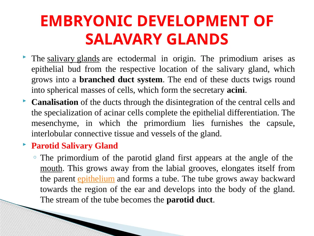 DEVELOPMENTAL ANATOMY VAN-608 Dr SANJAY KUMAR - slide 31 of 49