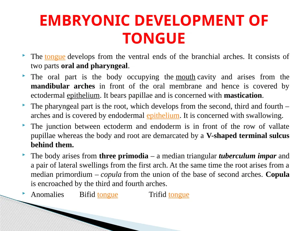 DEVELOPMENTAL ANATOMY VAN-608 Dr SANJAY KUMAR - slide 37 of 49
