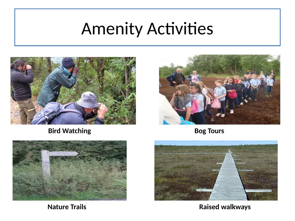 MWM Bog Heritage Project Presentation and Book - slide 15 of 21