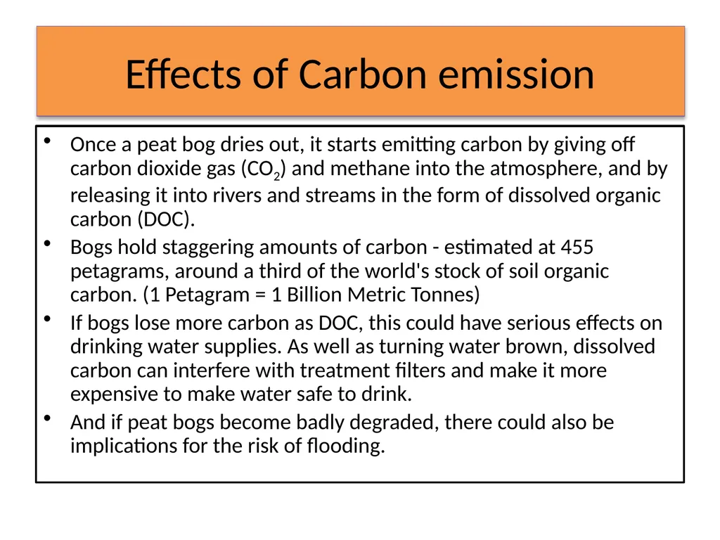 MWM Bog Heritage Project Presentation and Book - slide 18 of 21