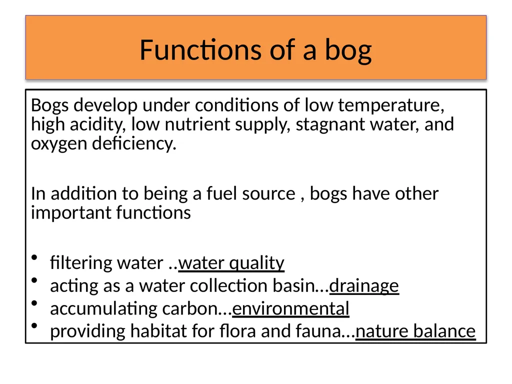 MWM Bog Heritage Project Presentation and Book - slide 17 of 21