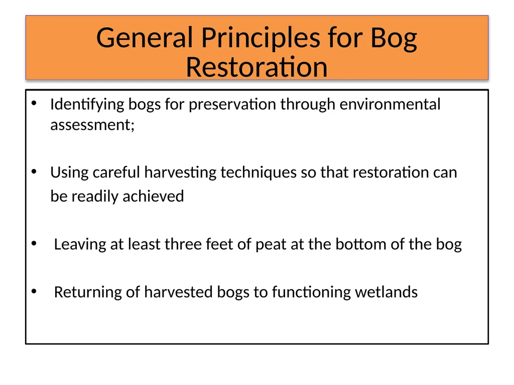 MWM Bog Heritage Project Presentation and Book - slide 19 of 21