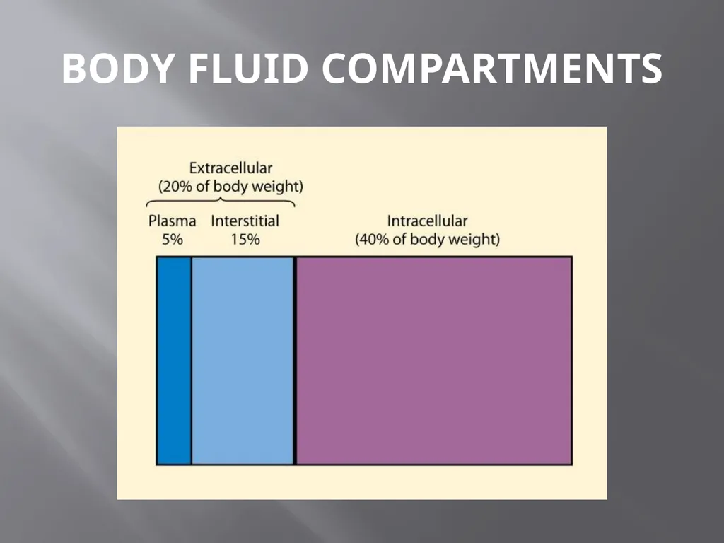 Water and Electrolyte Balance Mrs. L. - slide 6 of 32
