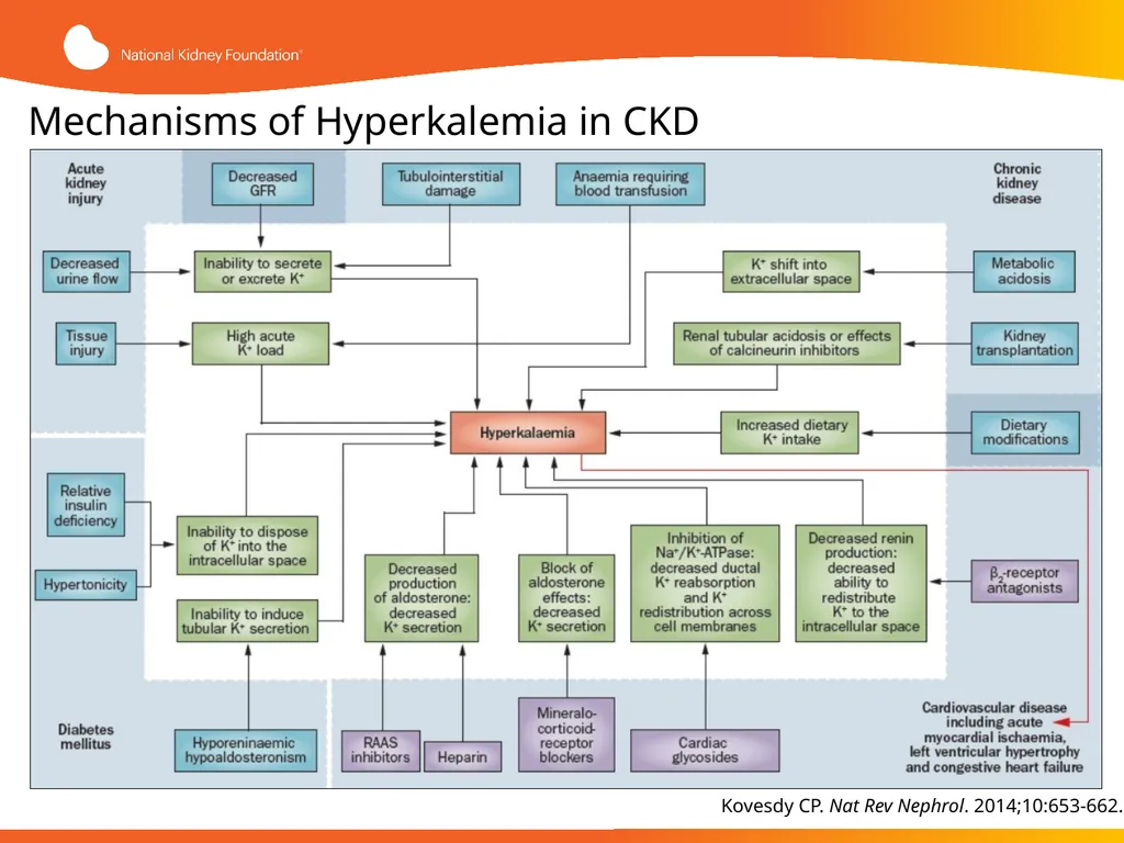 Evaluation and Management of Hyperkalemia This - slide 13 of 35