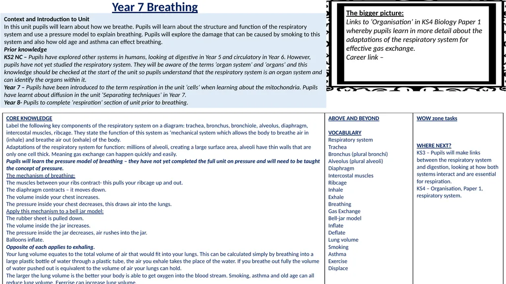 Year 7 Cellular Respiration Context and - slide 2 of 2