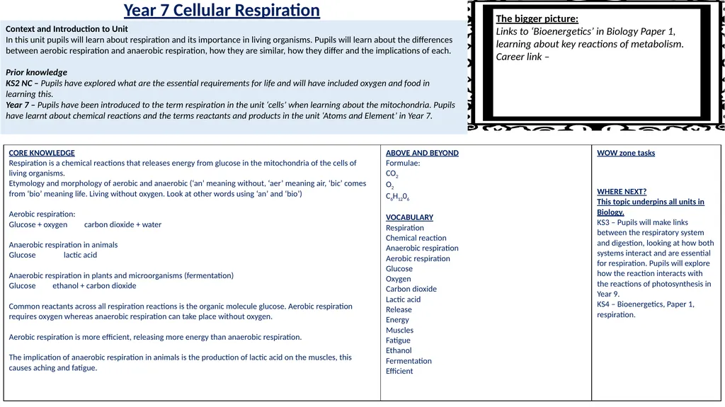 Year 7 Cellular Respiration Context and