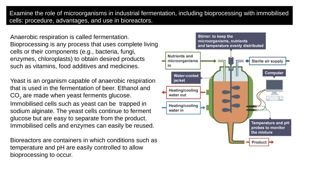 Respiration Syllabus Definition and role of - slide 10 of 11