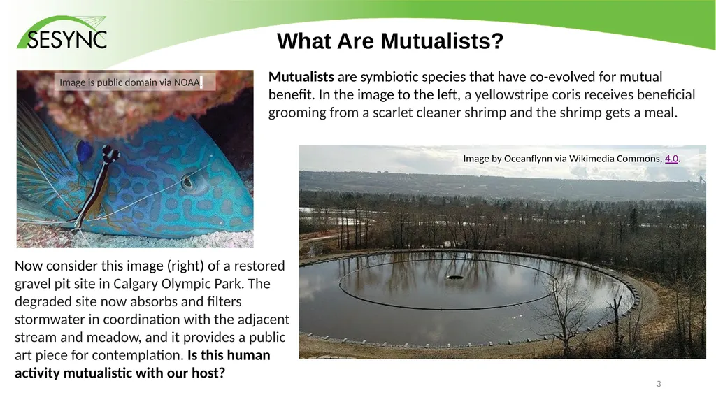 Lesson: How Can Human Societies Evolve from - slide 3 of 7