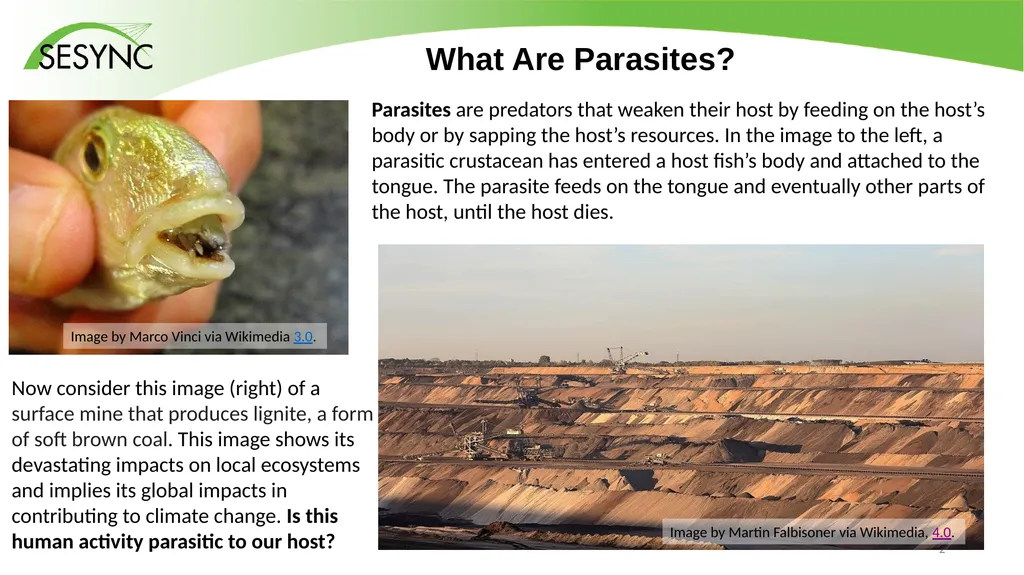 Lesson: How Can Human Societies Evolve from - slide 2 of 7