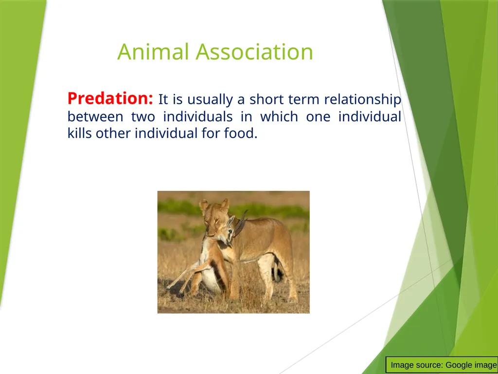 Dr. AJIT KUMAR Department of Veterinary - slide 6 of 9