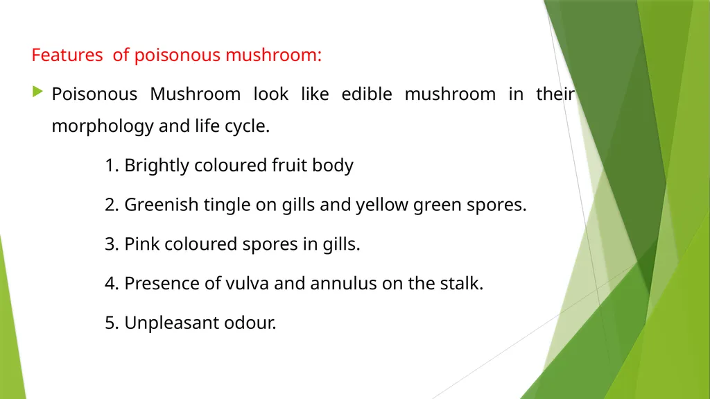 UNIT – II MUSHROOM METHODOLOGY HAJEE KARUTHA - slide 8 of 19