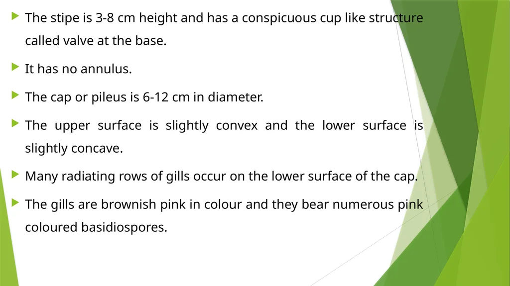 UNIT – II MUSHROOM METHODOLOGY HAJEE KARUTHA - slide 16 of 19
