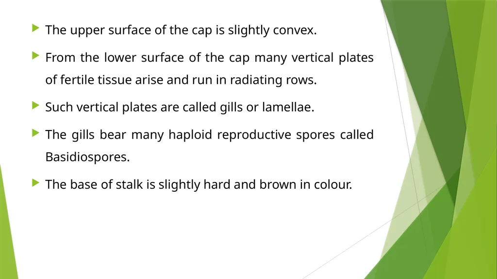 UNIT – II MUSHROOM METHODOLOGY HAJEE KARUTHA - slide 13 of 19